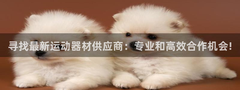 南宫大舞台官网下载平台注册:寻找最新运动器材供应商:专业和高