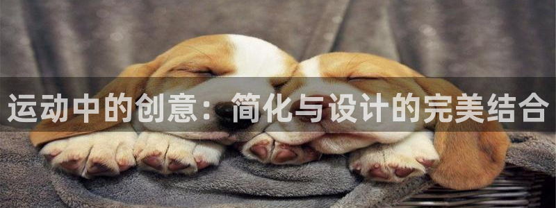 南宫大舞台官方正版app娱乐网站:运动中的创意:简化与设计的